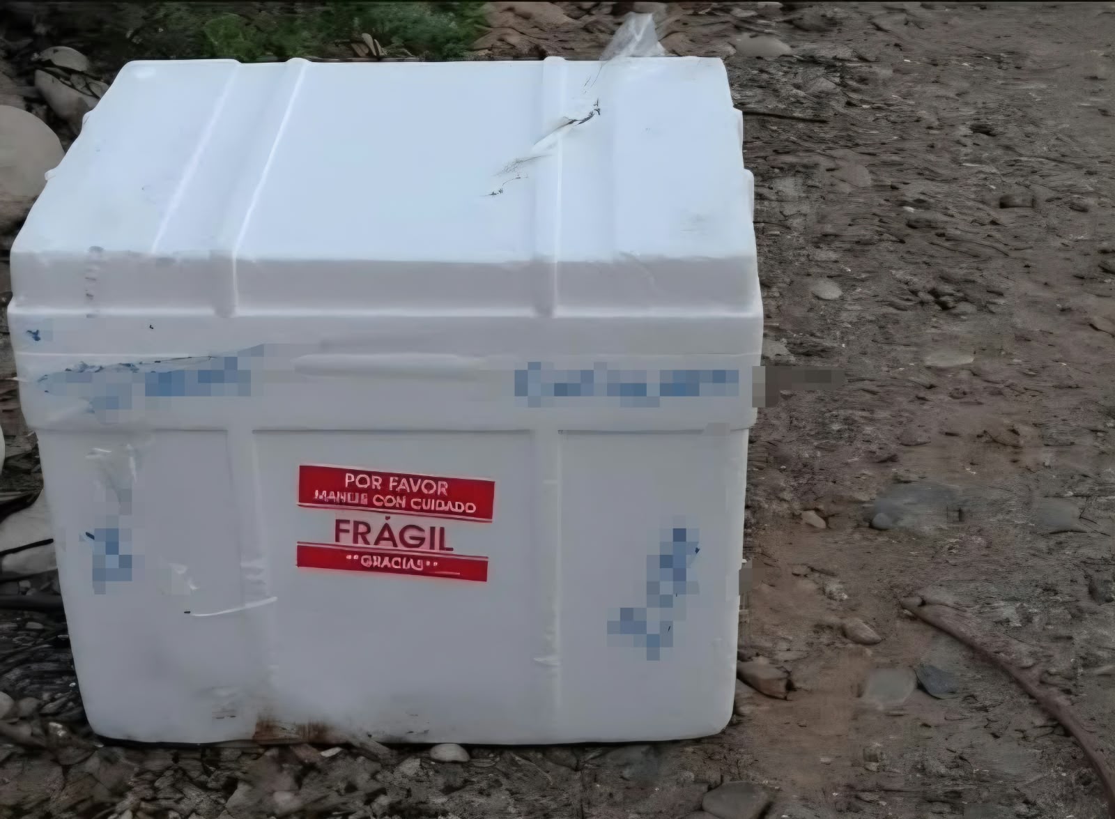 Hombre decapitado en el sector San Isidro, Culiacán