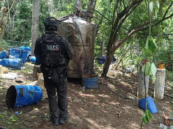 Inhabilitan cinco narcolaboratorios para droga sintética en Cosalá