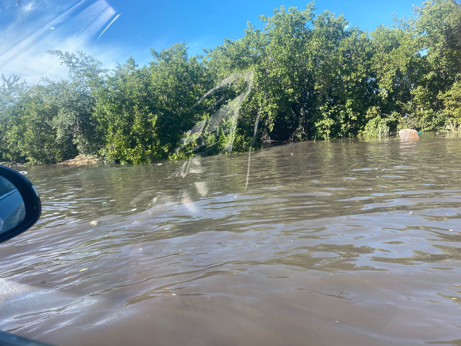 Incremento en el estero y marisma del Infiernillo, en Mazatlán, por Simón