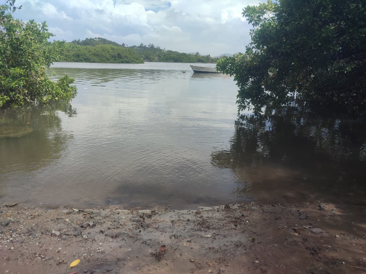 Incremento en el estero y marisma del Infiernillo, en Mazatlán, por Simón