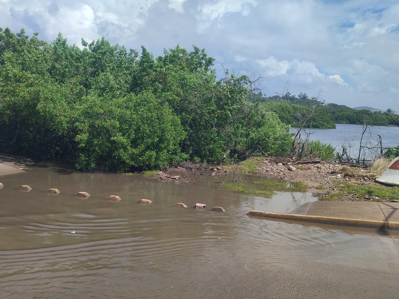 Incremento en el estero y marisma del Infiernillo, en Mazatlán, por Simón