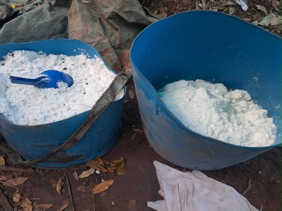 Inhabilitan cinco narcolaboratorios para droga sintética en Cosalá