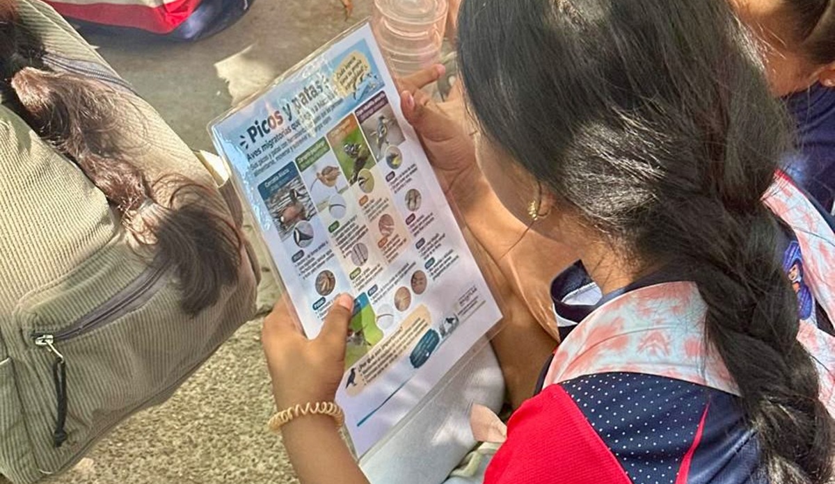 Jornada de Educación Ambiental en el Parque Central, en Mazatlán