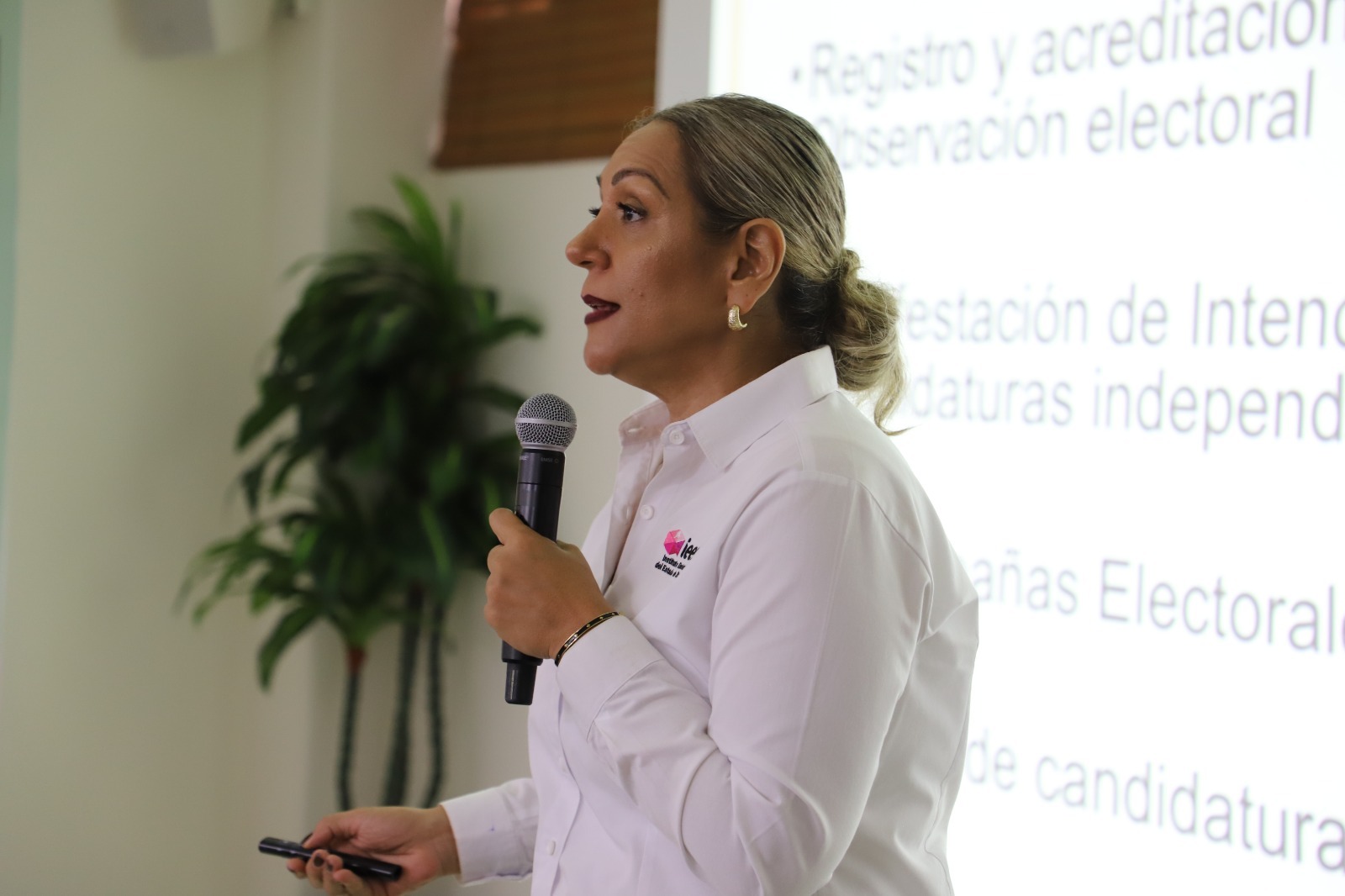 Jornadas de capacitación del IEES en Culiacán