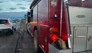 Joven cae con su vehículo al canal Lateral 18 tras intentar esquivar un mapache en Ahome
