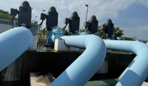 ¡Se llena de lirio acuático! Jumapam frena la potabilizadora Los Horcones y baja presión del agua en Mazatlán, Sinaloa