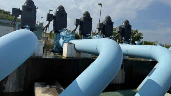 ¡Se llena de lirio acuático! Jumapam frena la potabilizadora Los Horcones y baja presión del agua en Mazatlán, Sinaloa