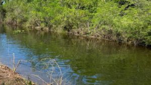 jumapam advierte sobre taponamientos y aguas negras en mazatlan canales