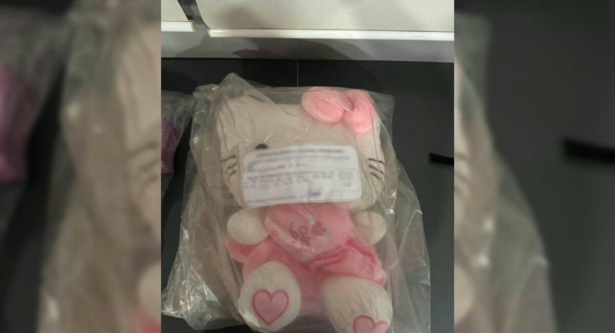 ¡Ahora contra la fayuca! De Kitty, Guerreras Kpop, y hasta del Tri: decomisan en Michoacán más de 134 mil artículos falsificados