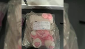 ¡Ahora contra la fayuca! De Kitty, Guerreras Kpop, y hasta del Tri: decomisan en Michoacán más de 134 mil artículos falsificados