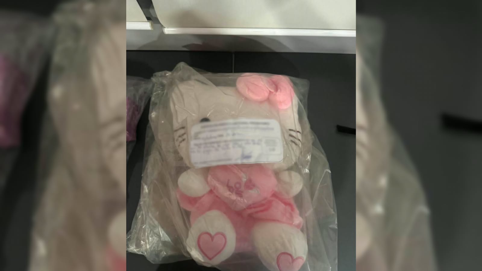 De Kitty, Guerreras Kpop, y hasta del Tri: decomisan en Michoacán más de 134 mil artículos falsificados
