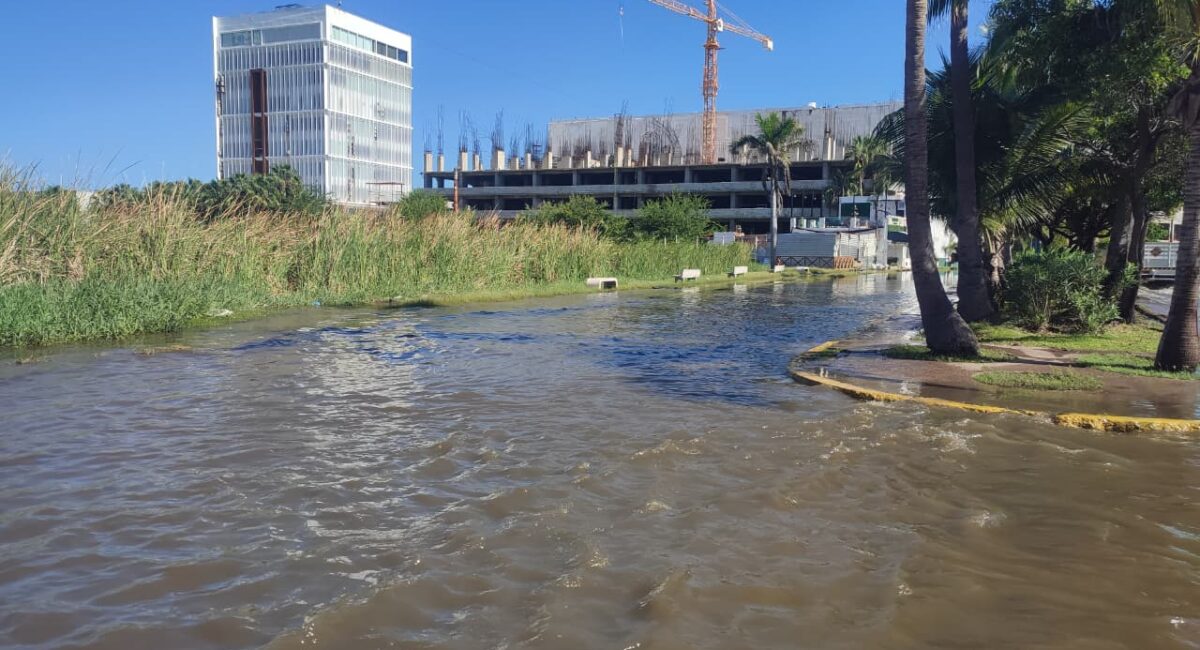 Laguna del Camarón en Mazatlán se desborda y causa severa inundación sobre Avenida Insurgentes y fraccionamiento Flamingos