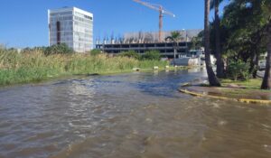 Laguna del Camarón en Mazatlán se desborda y causa severa inundación sobre Avenida Insurgentes y fraccionamiento Flamingos