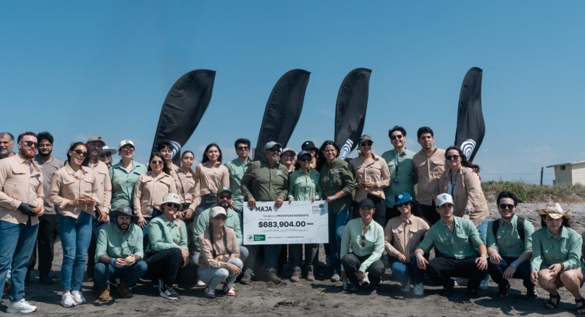 MAJA Sportswear y Pronatura Noroeste realizan liberación de tortugas golfinas en playa Ceuta