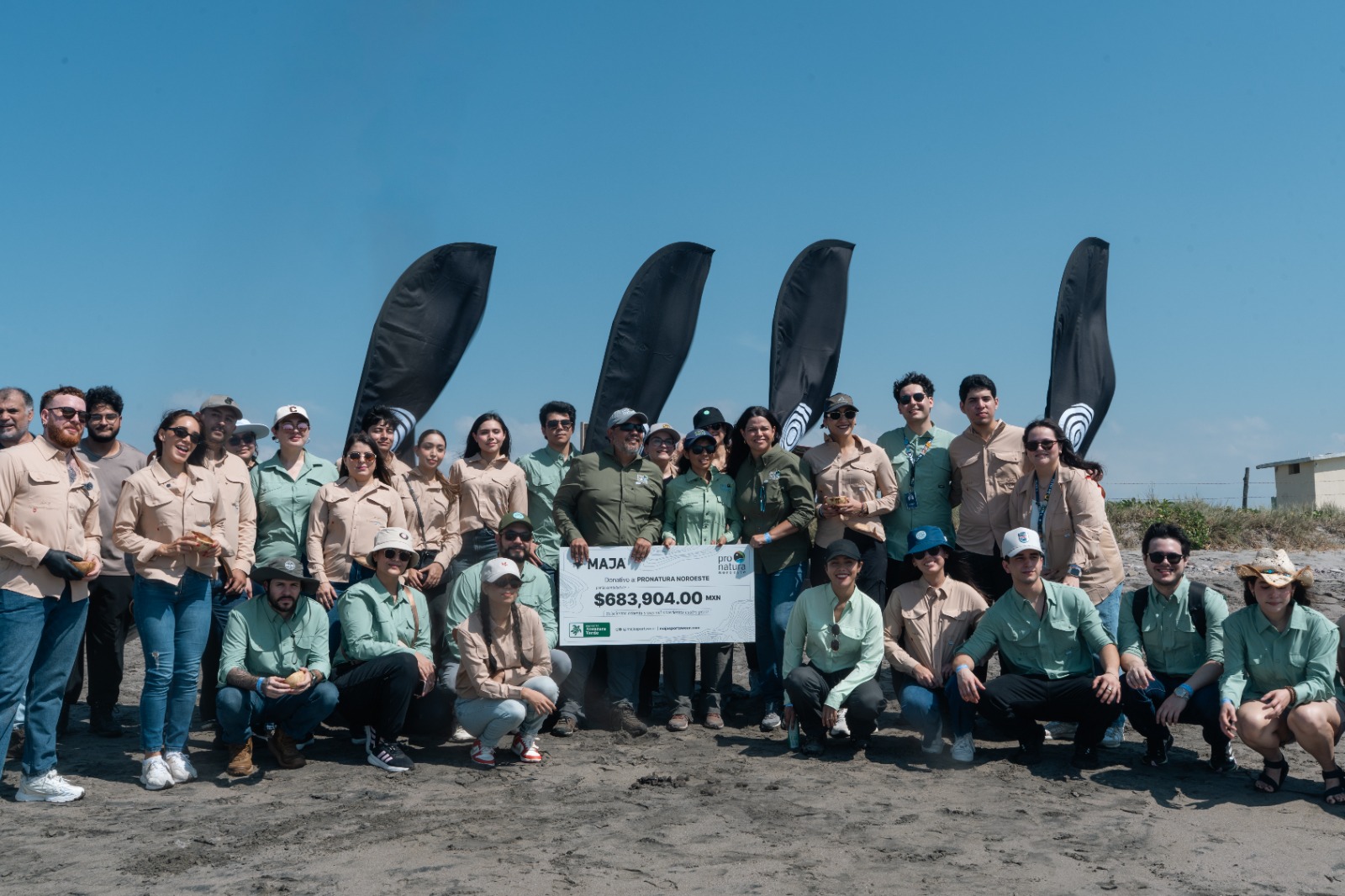 Liberación de tortugas marinas por Maja y Pronatura Noroeste en playa Ceuta, Elota