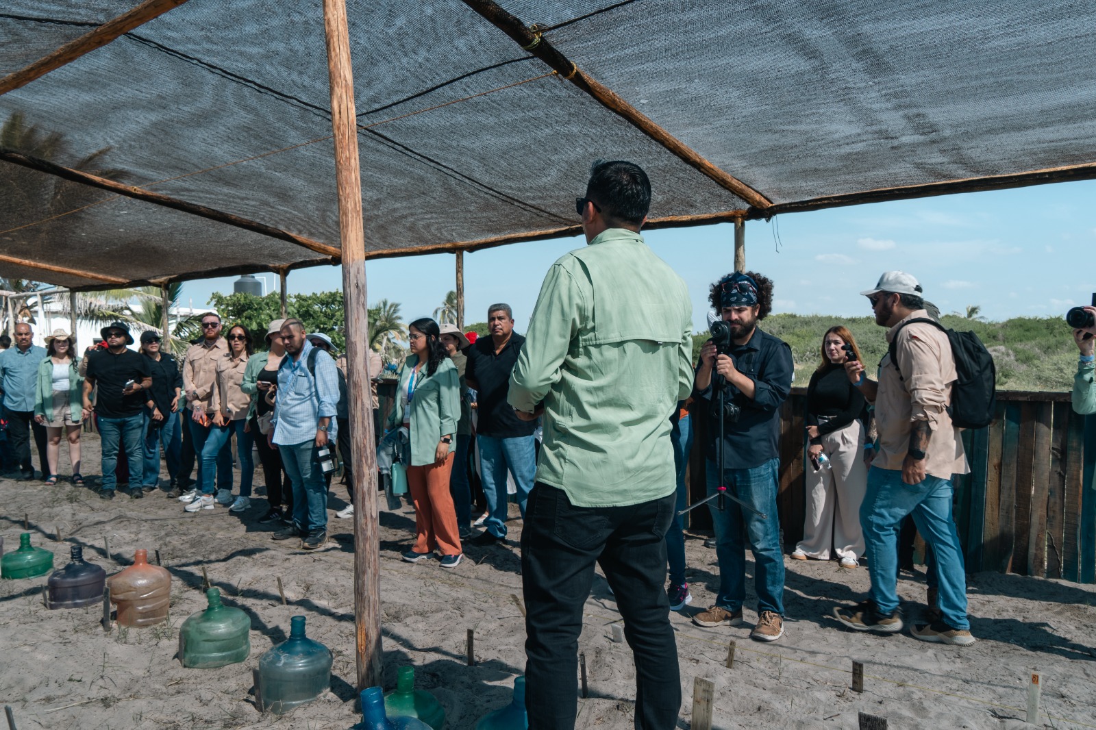 Liberación de tortugas marinas por Maja y Pronatura Noroeste en playa Ceuta, Elota