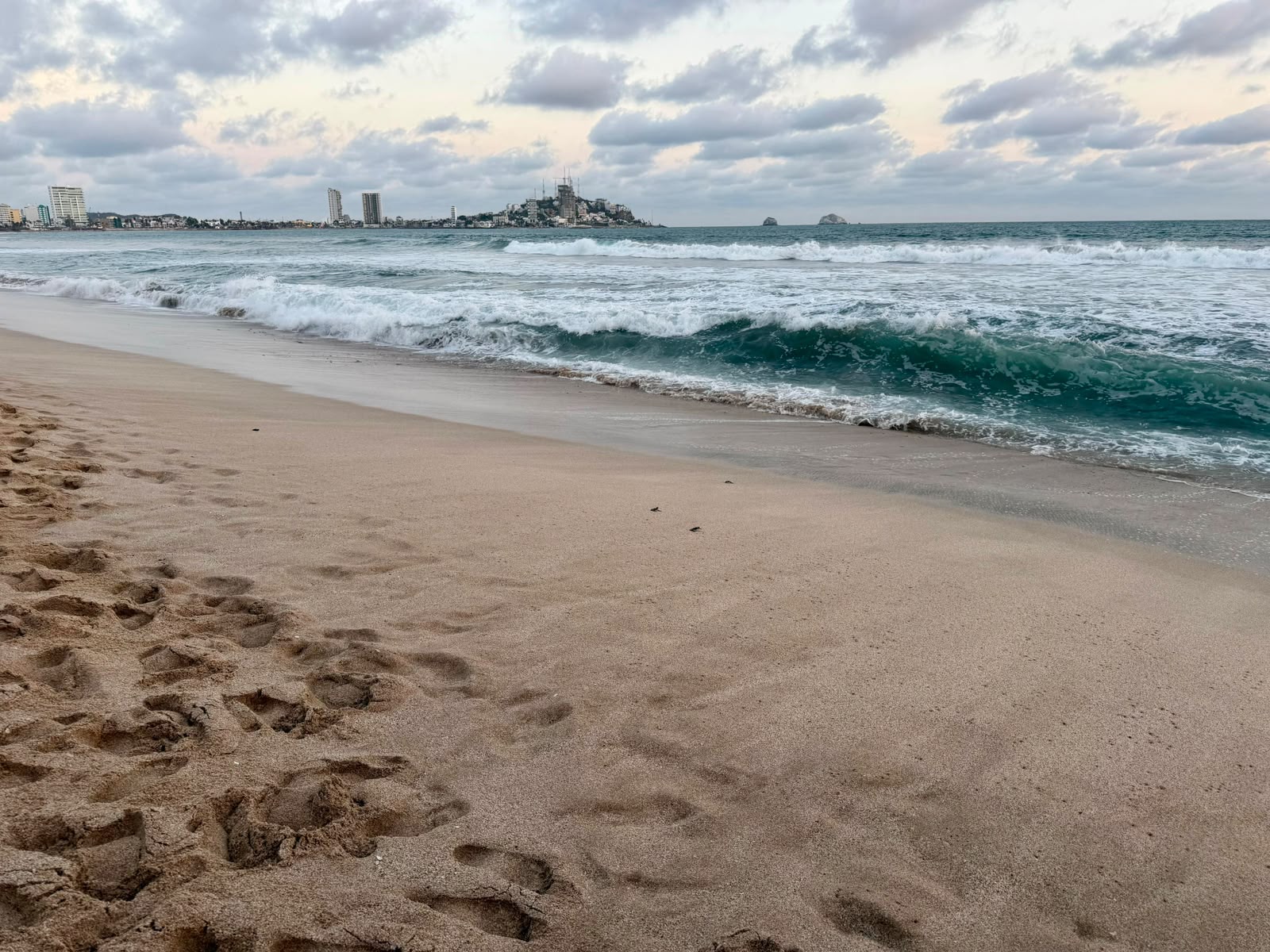 Liberan tortugas golfinas en Mazatlán