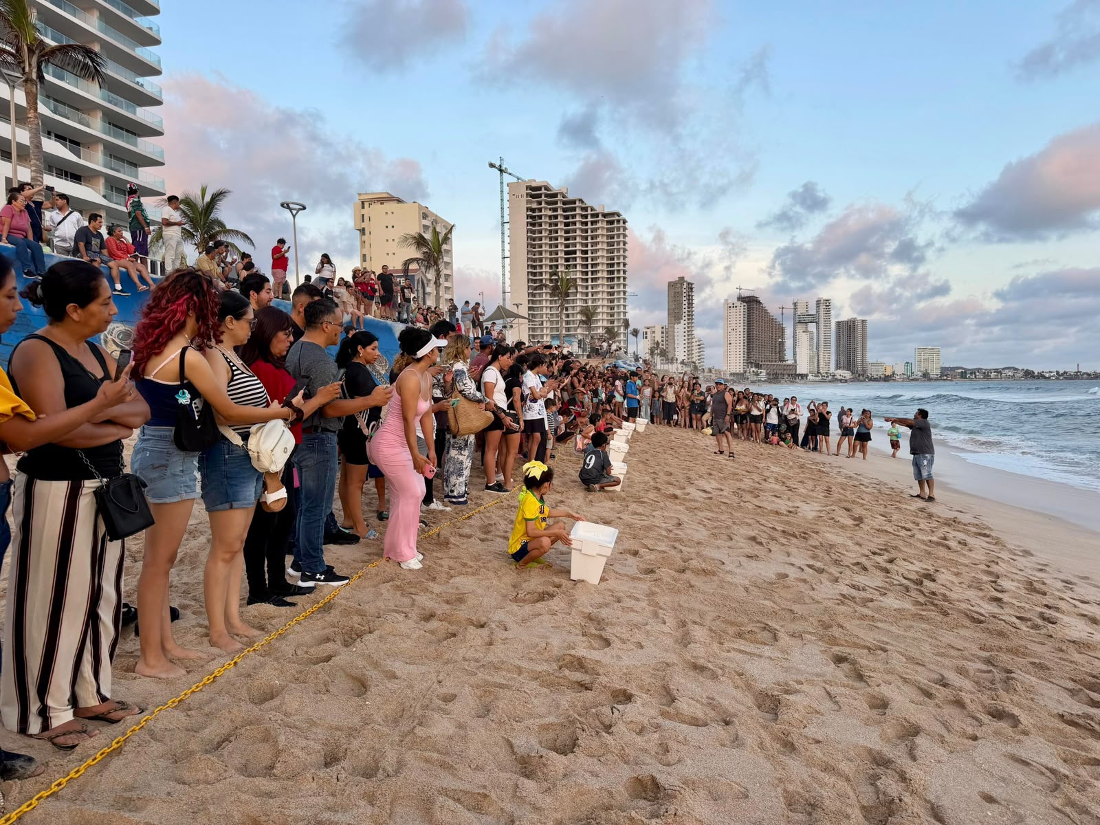 Liberan tortugas golfinas en Mazatlán