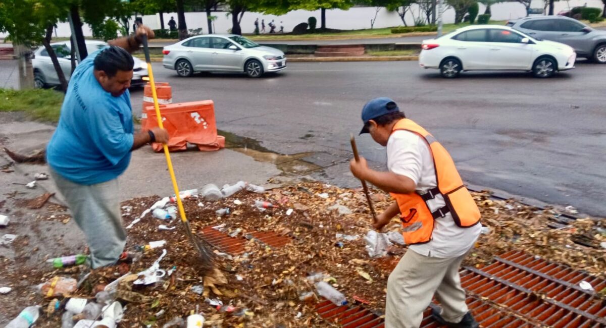 Tras las lluvias, limpian alcantarillas para evitar más inundaciones en Mazatlán, Sinaloa
