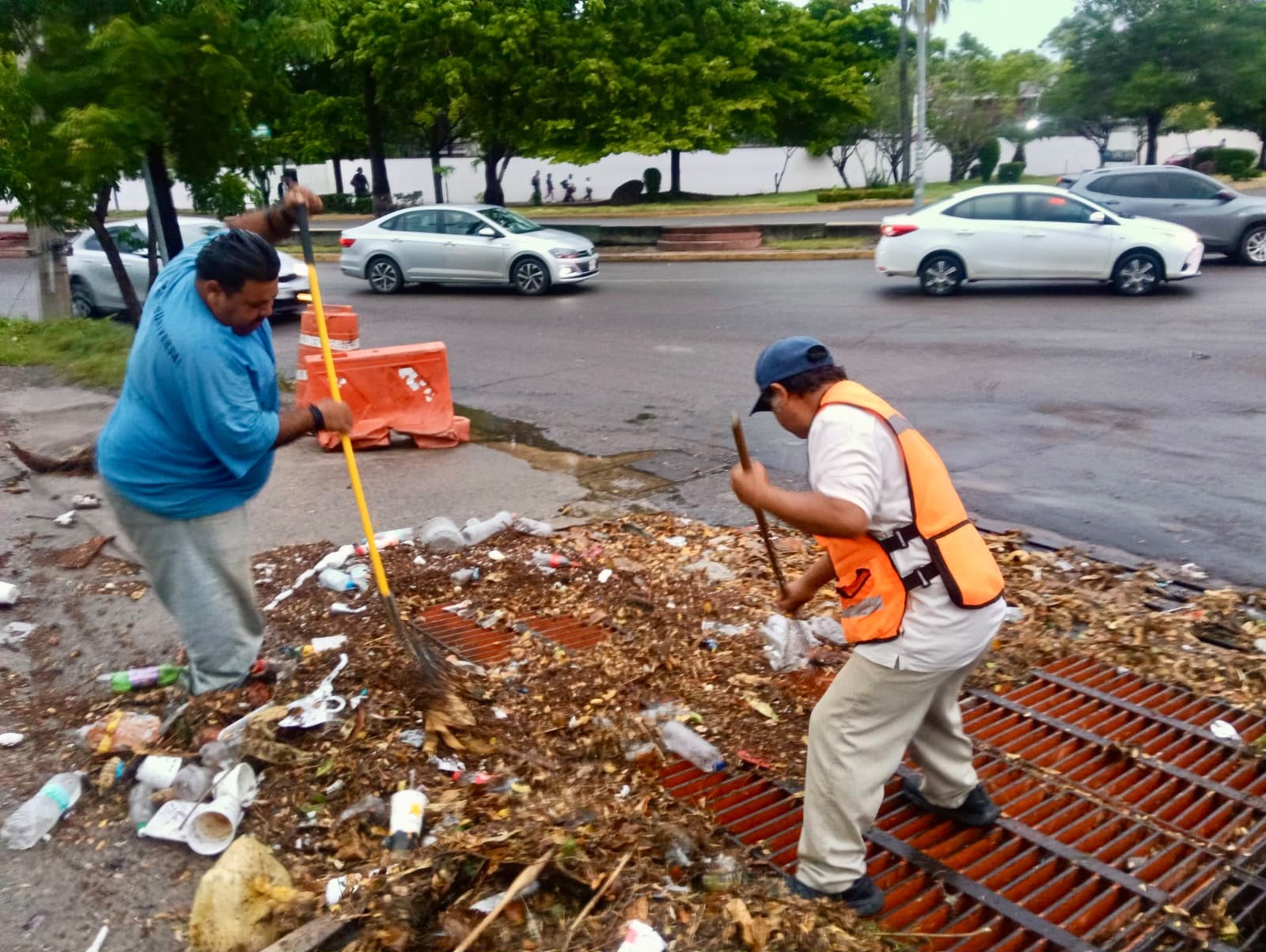 Tras las lluvias, limpian alcantarillas para evitar más inundaciones en Mazatlán