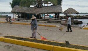 Retiran arena, maleza y conchas del malecón de Teacapán, Escuinapa, Sinaloa, tras marejadas de Simón