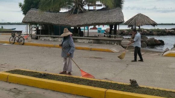 Retiran arena, maleza y conchas del malecón de Teacapán, Escuinapa, Sinaloa, tras marejadas de Simón
