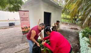 Retiran 27 costales de maleza del teatro del pueblo de El Quelite, Mazatlán, Sinaloa