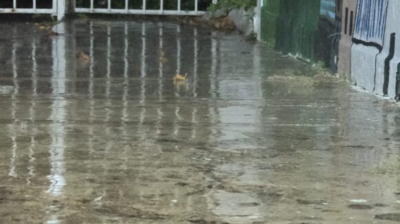 ¡Se soltó el aguacero! Lluvia sorprende la noche de domingo en Mazatlán, Sinaloa