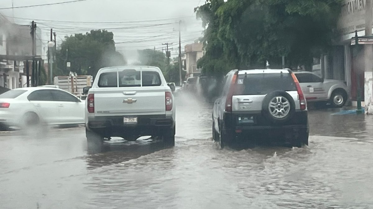 lluvia en guasave sinaloa charco