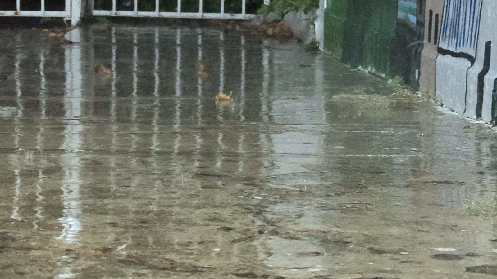 Lluvia. Foto temática