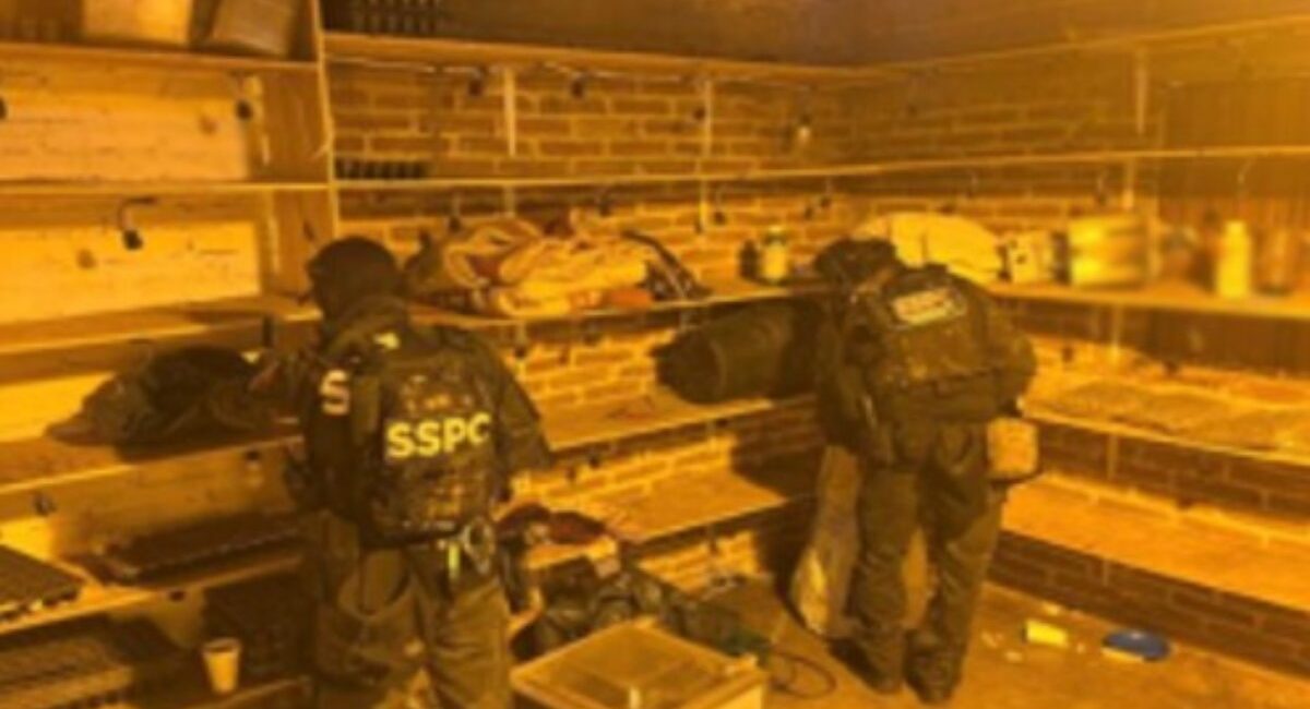 Mariguana, fertilizante y una empacadora al vacío: así fue localizado un invernadero en Mazatlán, Sinaloa