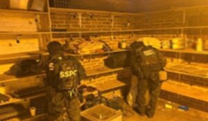 Mariguana, fertilizante y una empacadora al vacío: así fue localizado un invernadero en Mazatlán, Sinaloa