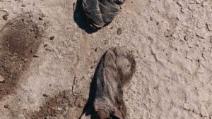 localizan persona sin vida en guasave calcetines