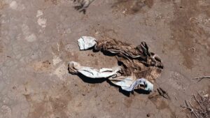 localizan persona sin vida en guasave ropa
