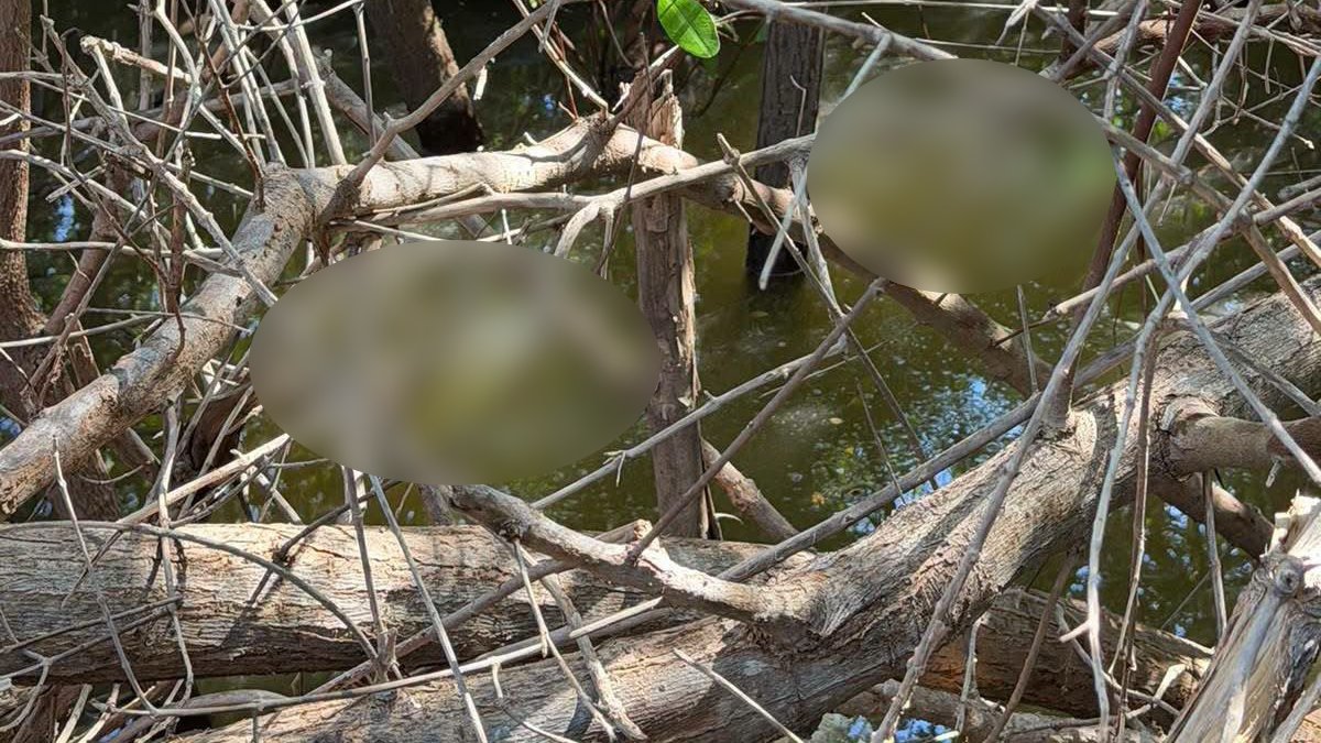 localizan persona sin vida en guasave