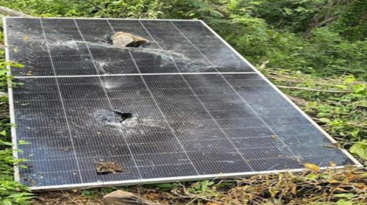 localizan tres campamentos clandestinos y aseguran arsenal en mazatlan sin