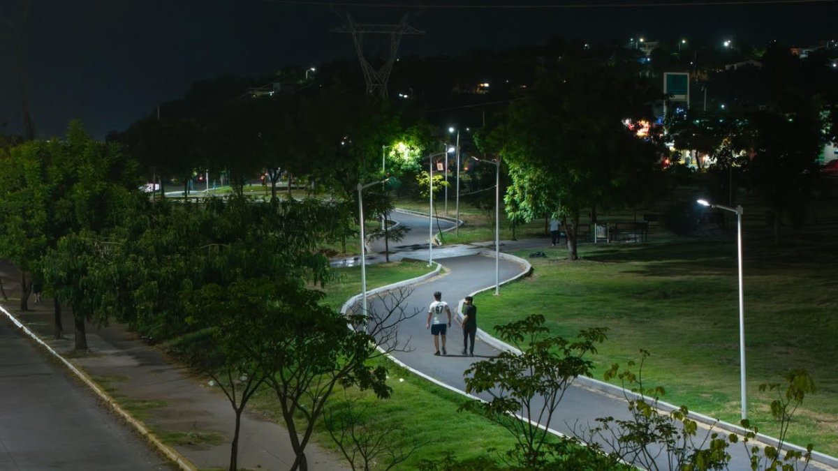 luminarias en culiacan camino