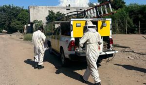 Rescatan a madre e hija de un enjambre de abejas en Guasave, Sinaloa