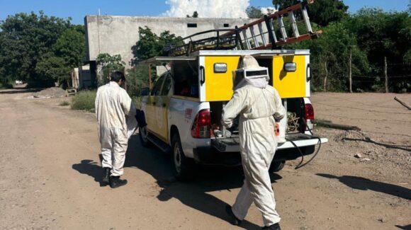Rescatan a madre e hija de un enjambre de abejas en Guasave, Sinaloa