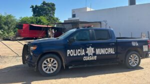 madre e hija son atacadas por abejas en guasave sin