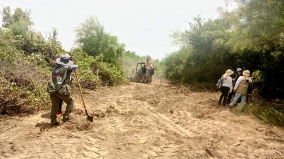 Rastreadoras buscan fosas clandestinas en predios agrícolas de Las Juntas de Chamicary, Guasave , Sinaloa