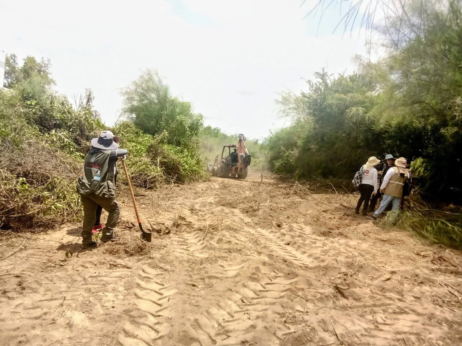 Rastreadoras buscan fosas clandestinas en predios agrícolas de Las Juntas de Chamicary, Guasave