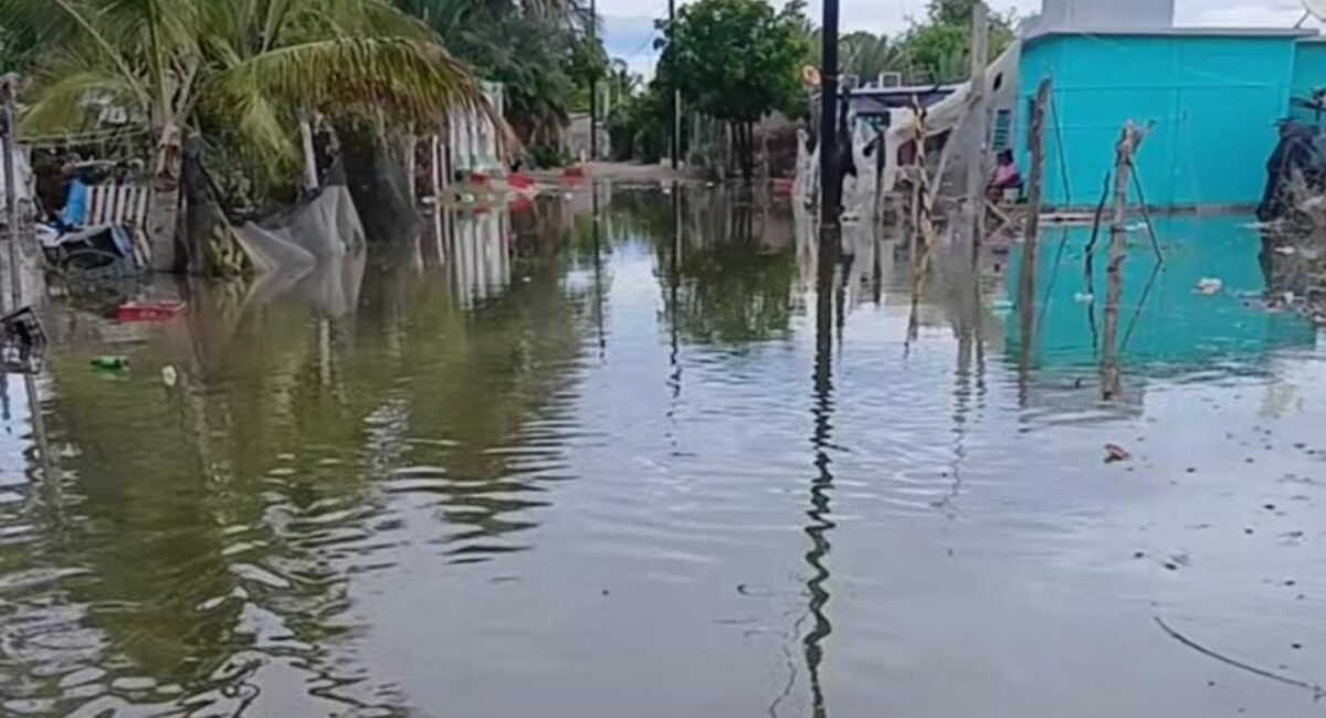 Advierten posible reubicación de 80 familias por persistencia de mareas altas en campos pesqueros de Guasave, Sinaloa