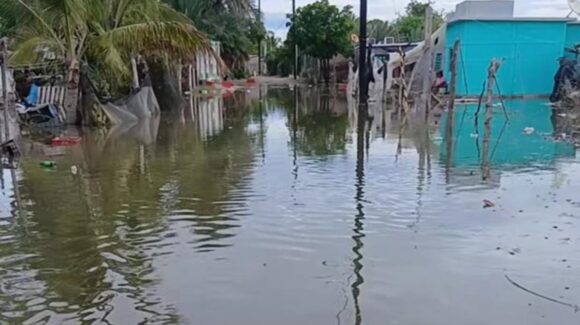 Advierten posible reubicación de 80 familias por persistencia de mareas altas en campos pesqueros de Guasave, Sinaloa