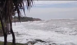 Marejadas intensas y lluvias en Celestino Gasca en Elota paraliza labores de ostioneros