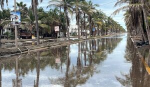 Mar de fondo mantendrá marejadas en Las Glorias y campos pesqueros  de Guasave, Sinaloa, hasta este viernes: PC