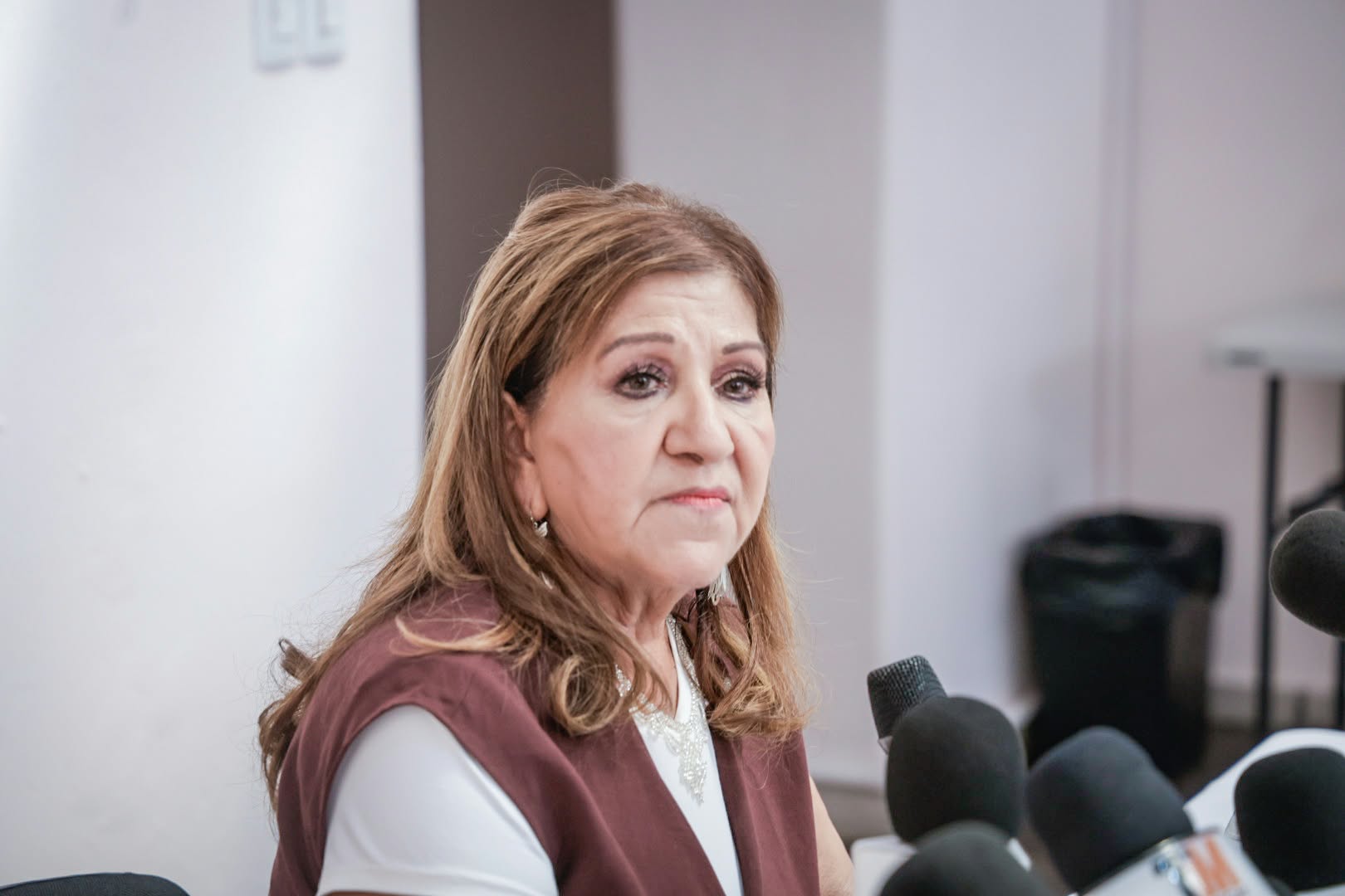 María Teresa Guerra Ochoa