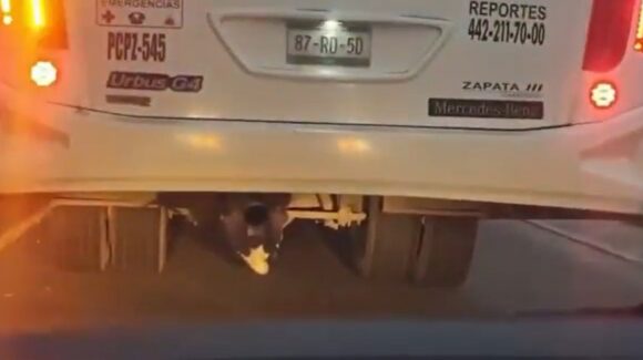 ¿Por qué se escondió en el chasis de un camión? Menor es captado debajo de un camión en movimiento, en Querétaro