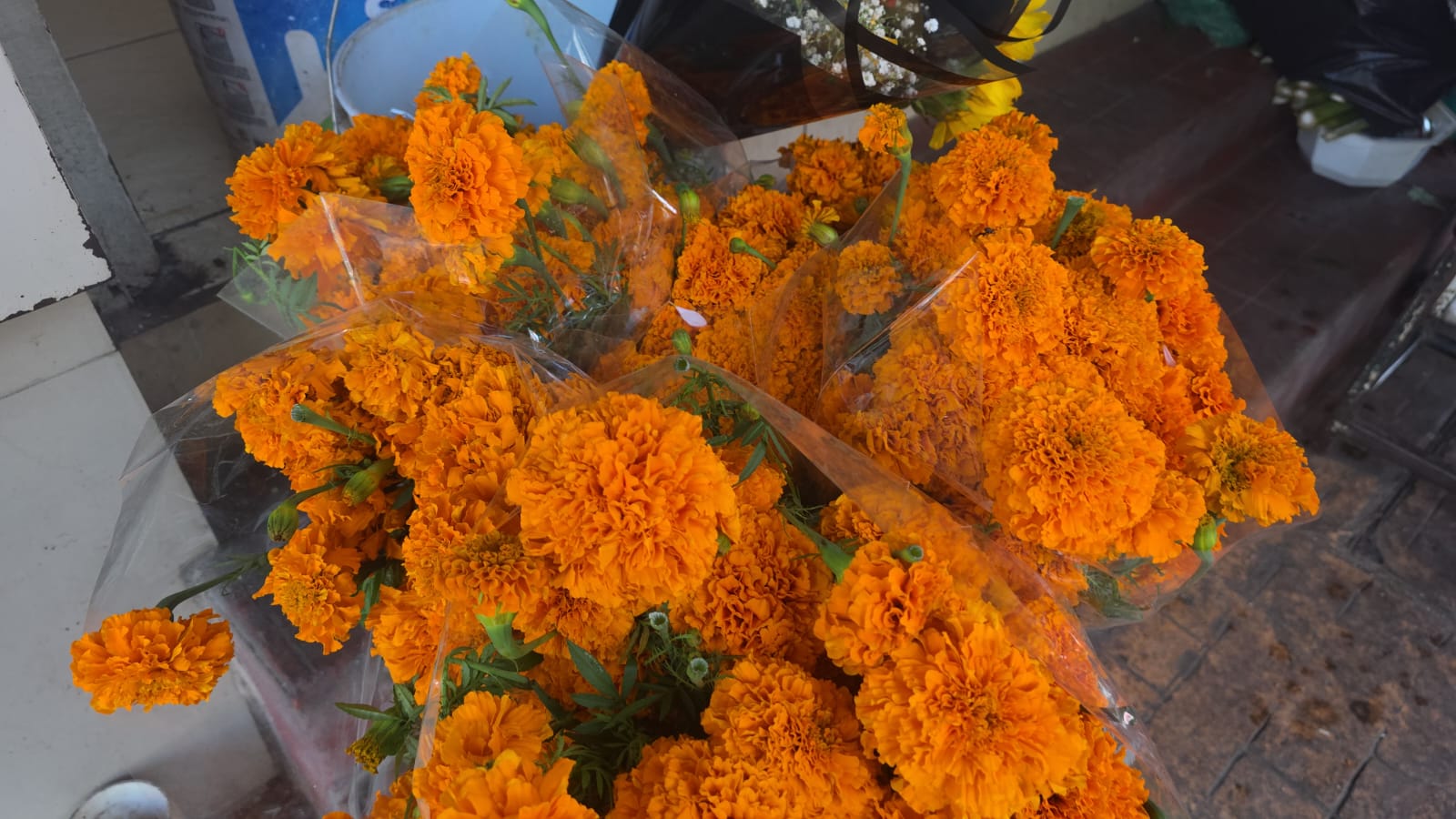 Mercado de Flores de Culiacán