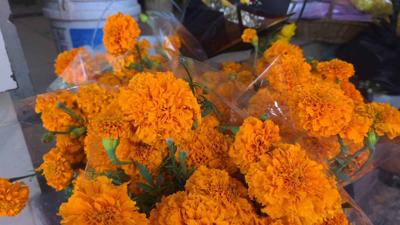 Mercado de Flores de Culiacán